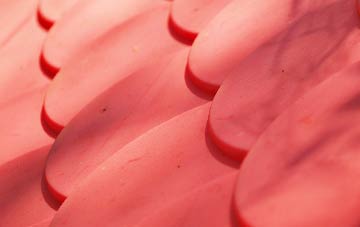 Coton Hayes plastic roof costs