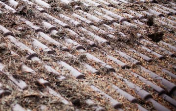 Coton Hayes roof cleaning companies