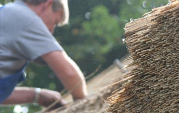 professional Coton Hayes thatchers