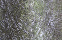 Coton Hayes fibreglass roof work